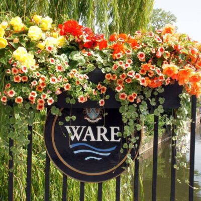 Ware In Bloom 3 Compressed 1