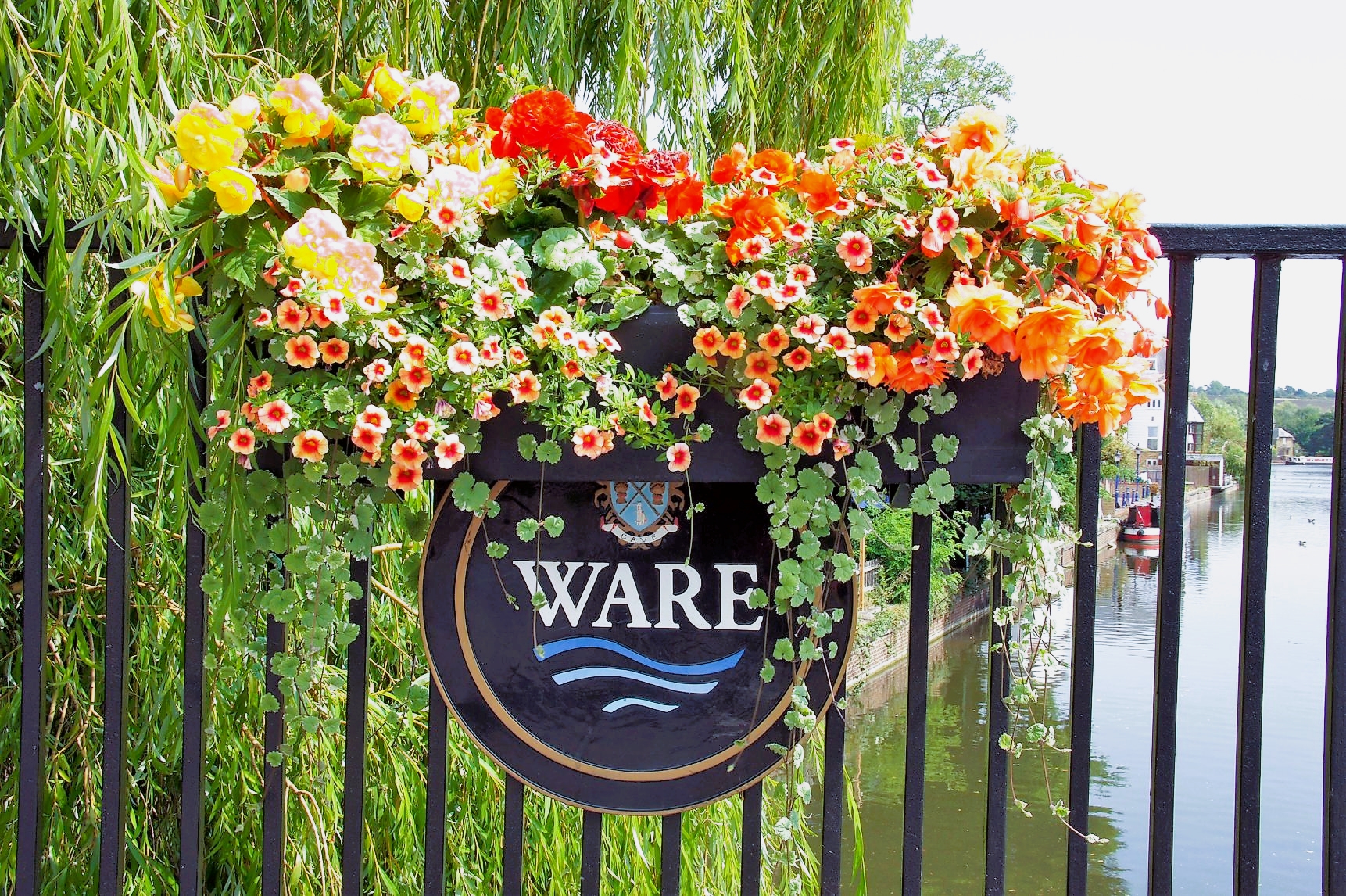 Ware In Bloom 3